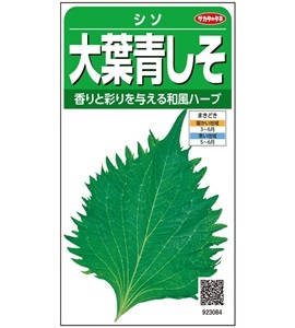 大葉青しそ