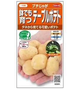 ピークファイブ