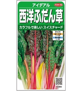 コリアンダー　大袋